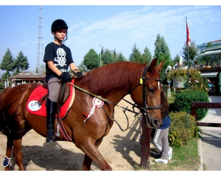 Sipahi Ocağı Müsabakaları 